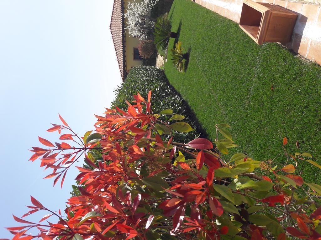 Ornaro Tenuta La Ginestra מראה חיצוני תמונה