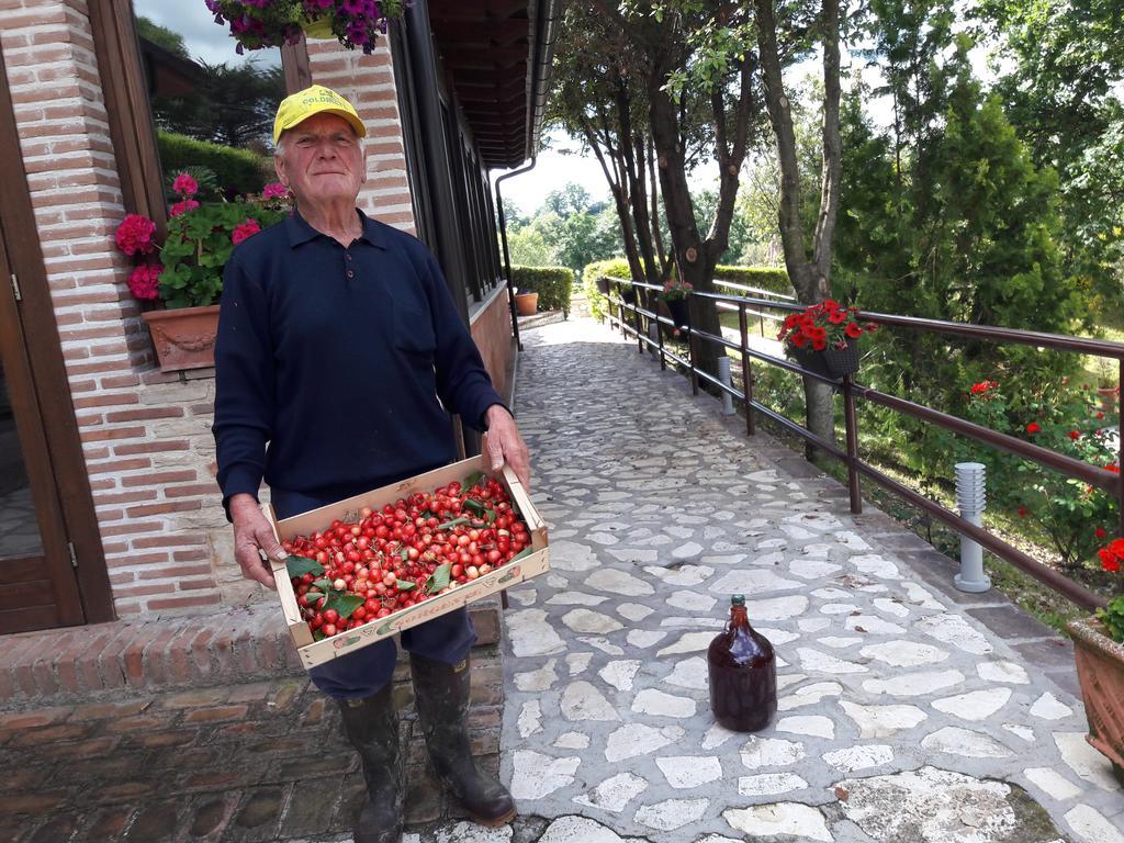 Ornaro Tenuta La Ginestra מראה חיצוני תמונה